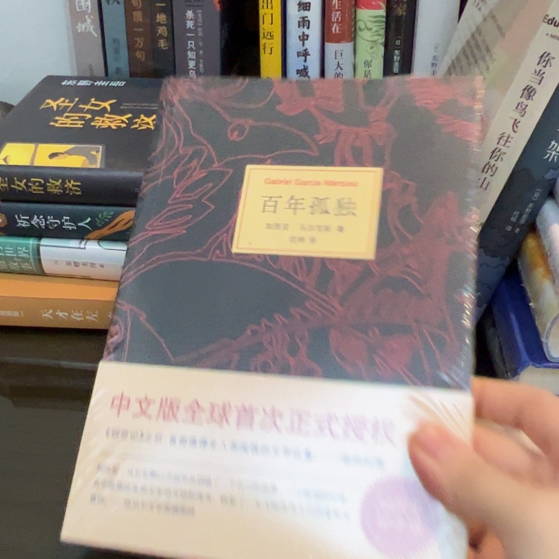 百年孤独          