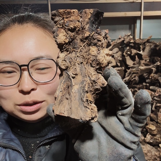 香榧木梦***有火琉璃的毛料摆件