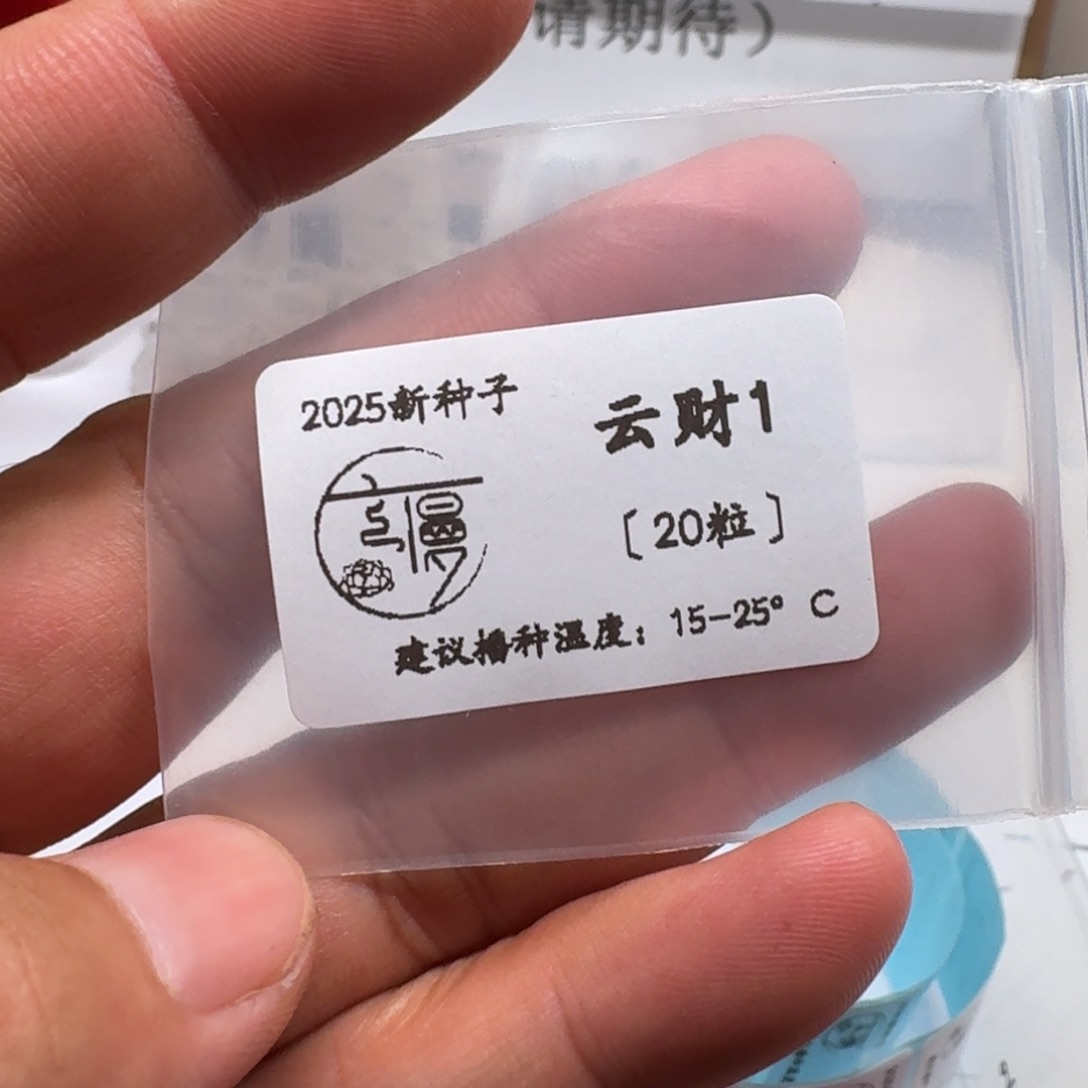 如图2025新种子珍妮系列1云财20粒一份