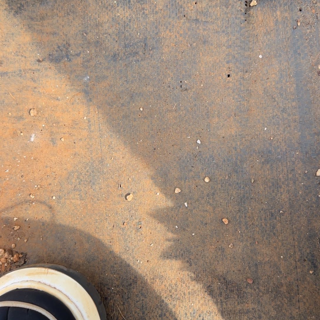 Q***。存款。                  多肉