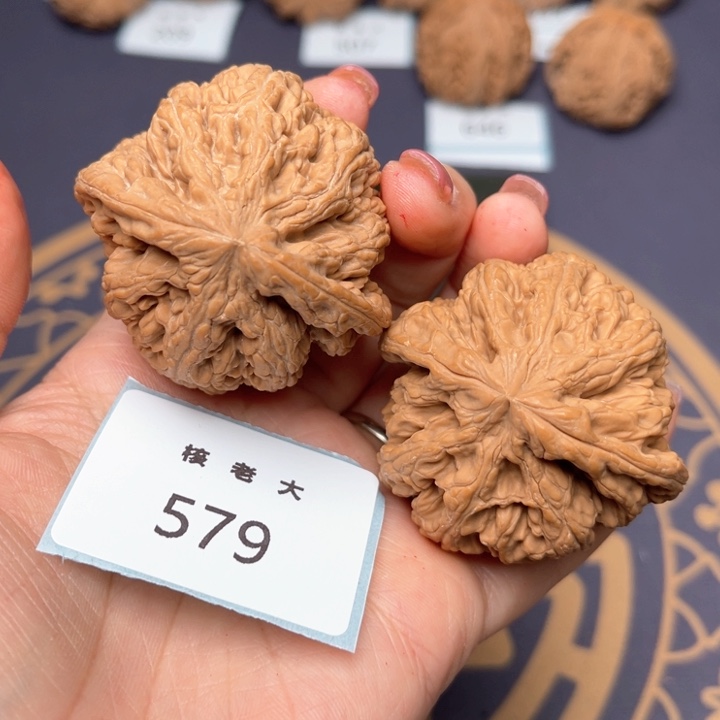 文玩核桃把件48大粗筋 579