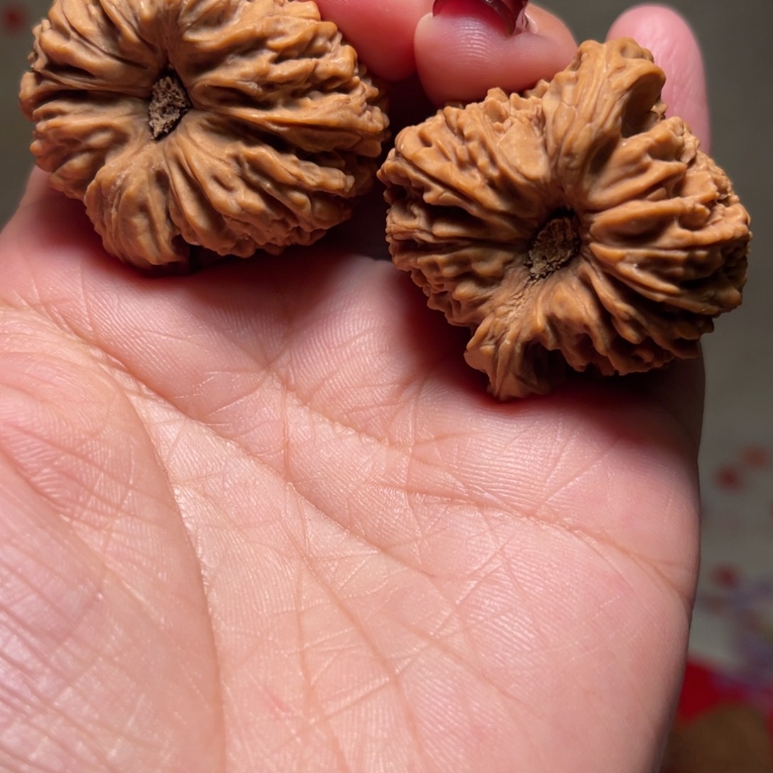 文玩核桃把件王*廢南疆