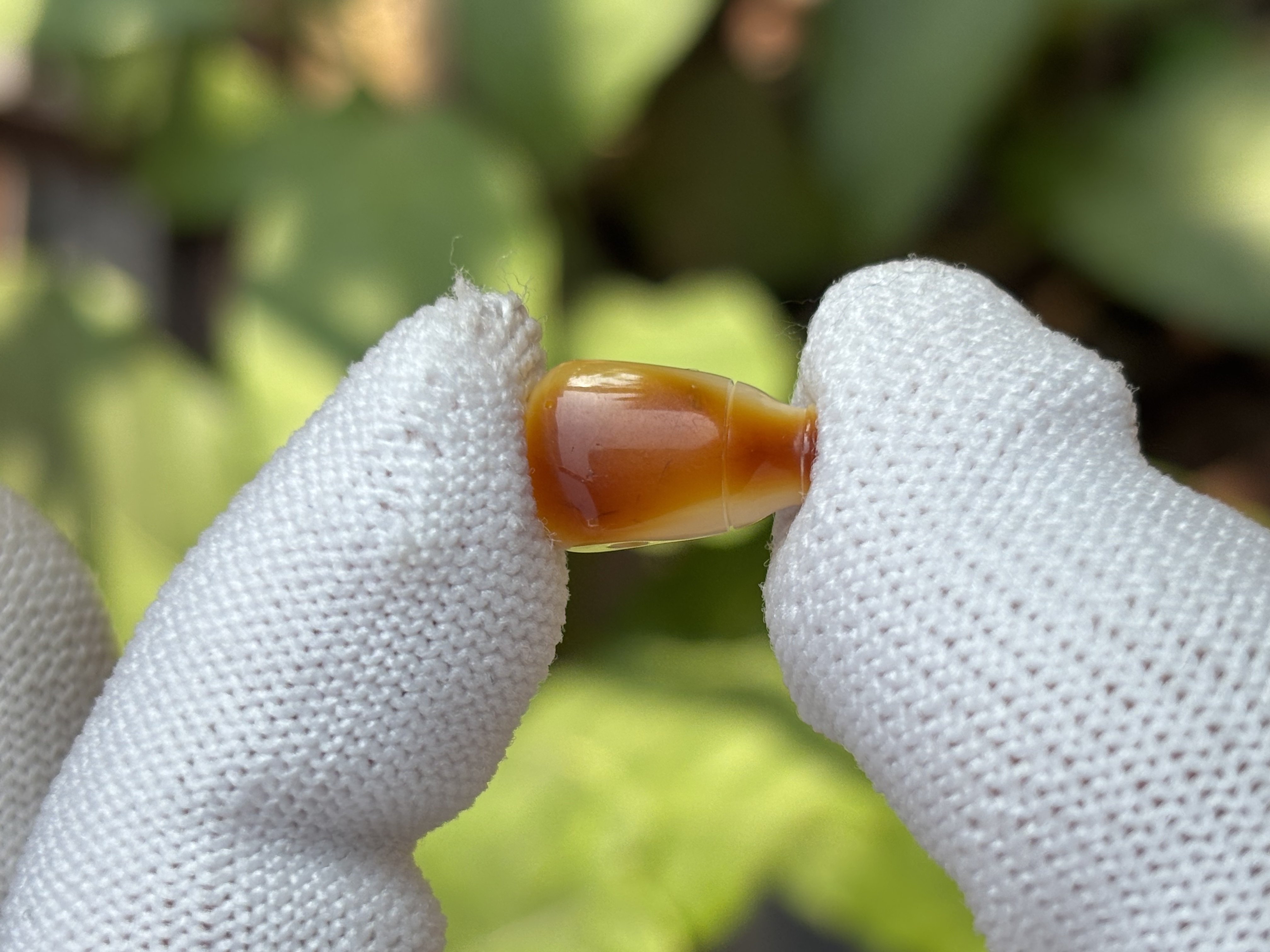 4983天然蜜蜡琥珀沁色三通配饰8.6x14x7.8mm