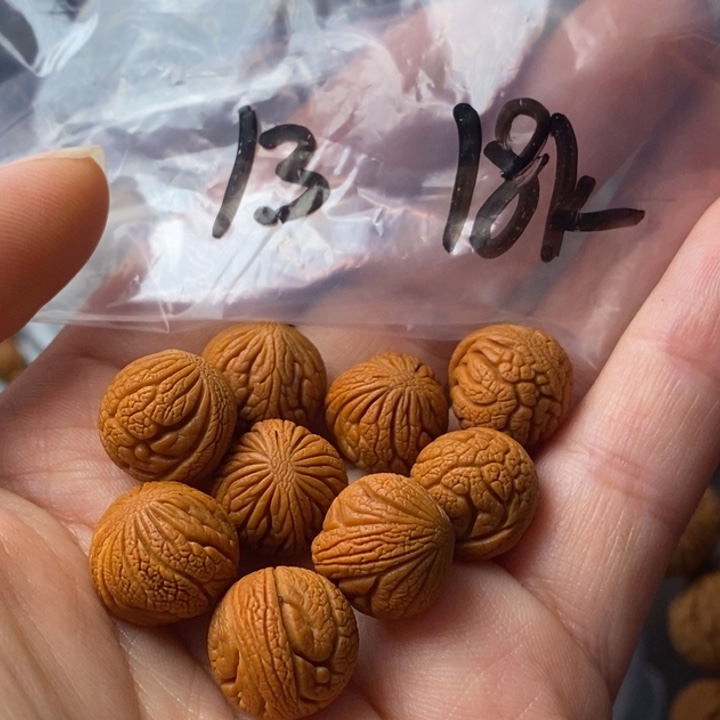 文玩核桃手串秦岭野生龙纹桃核13