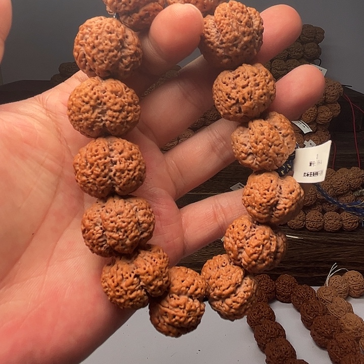 手串金刚菩提梁树王24