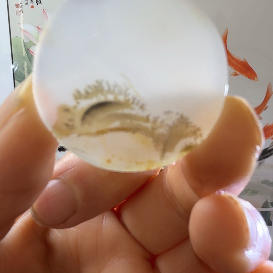 玛瑙/玉髓吊坠(不含链)未镶嵌