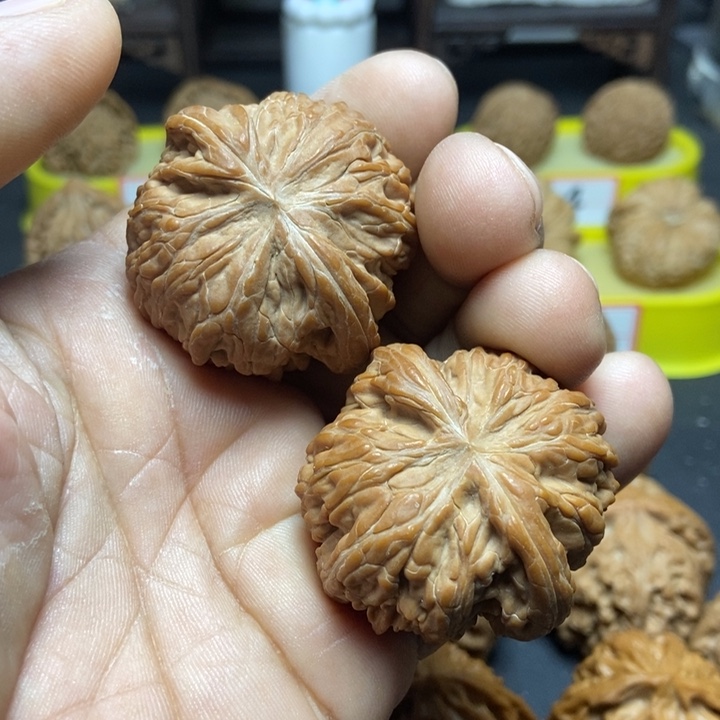 核桃喆*山地磨盘555