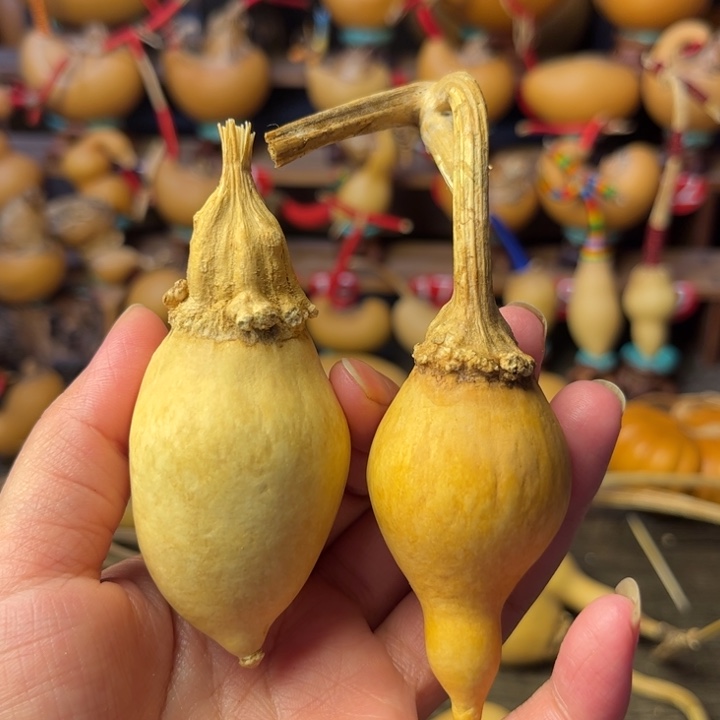 静***雨蚂蚁葫芦天天开心