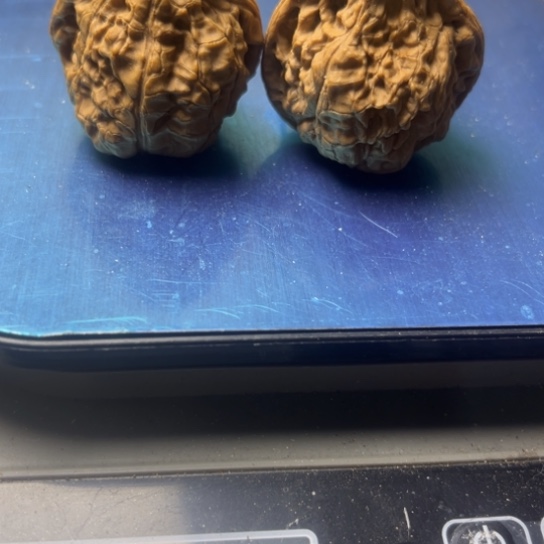 z***l核桃手串/手链1244577890