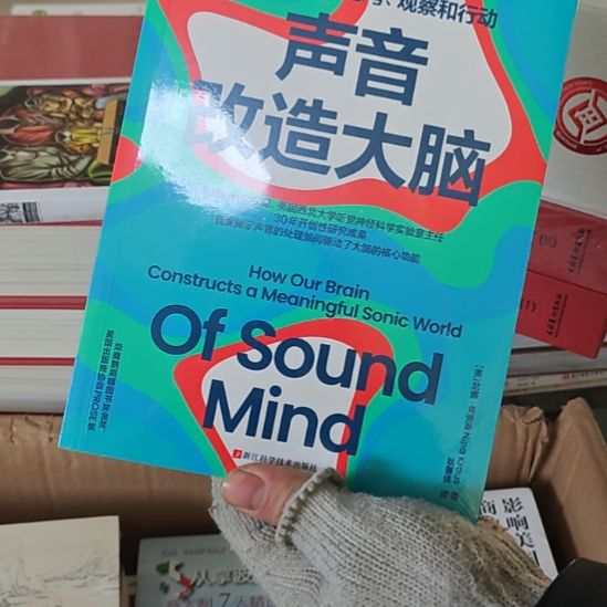 声音改造大脑平装库存书全新