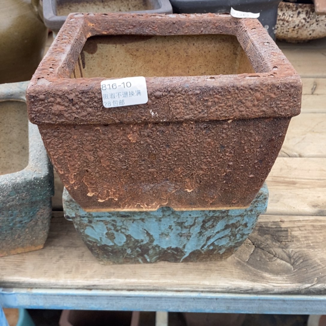 10号花盆内15高12