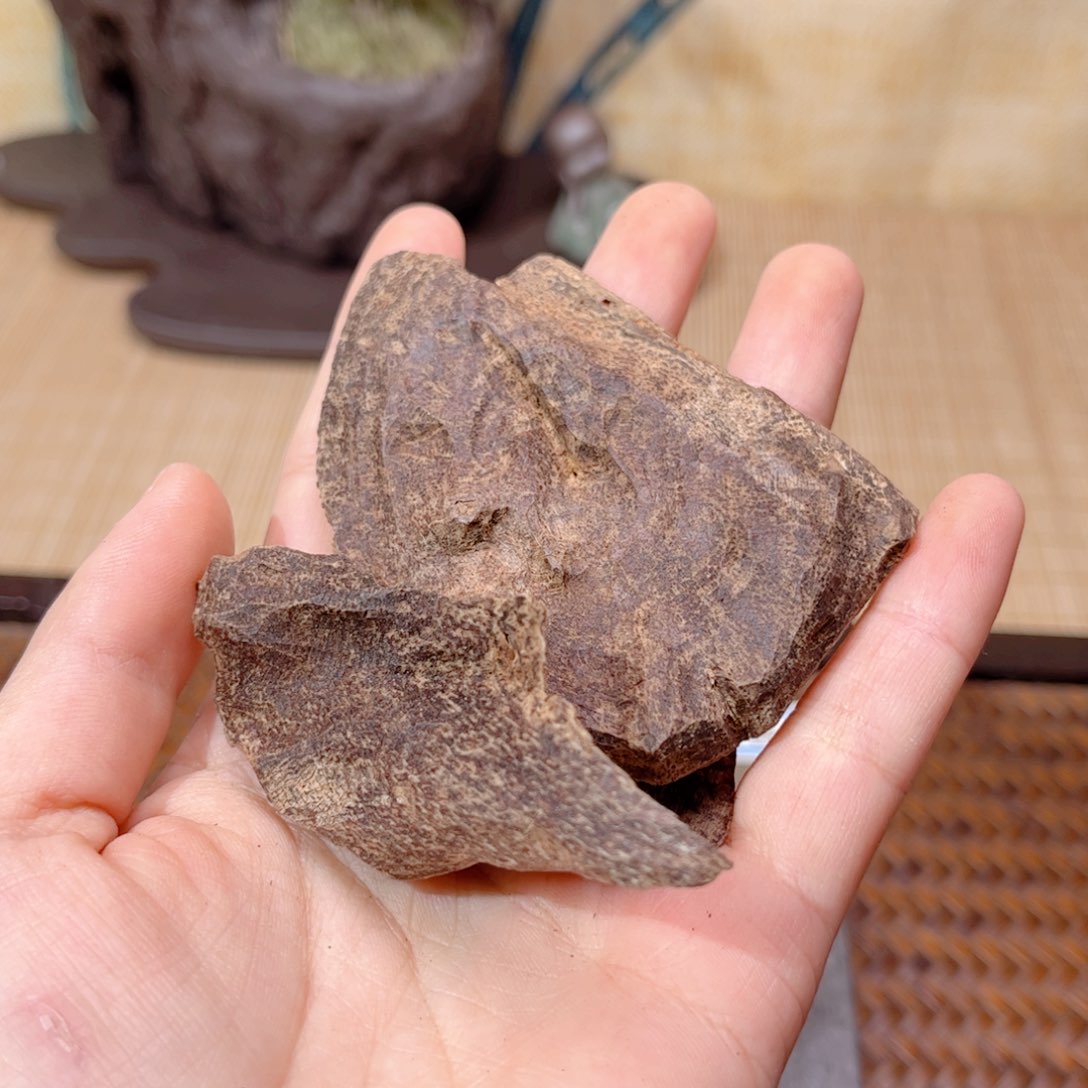 香榧木海南木料尖峰岭包头10克