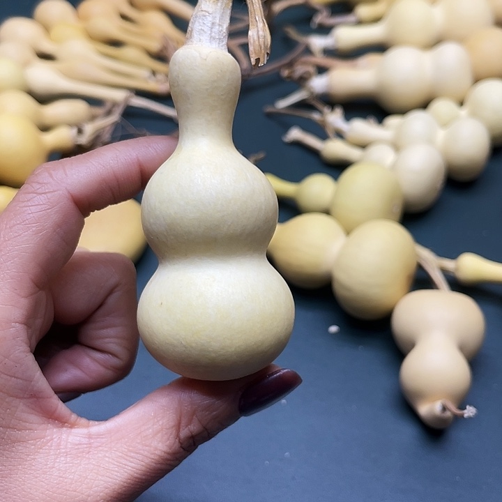 别***喽大叶紫檀（黑酸枝木类）