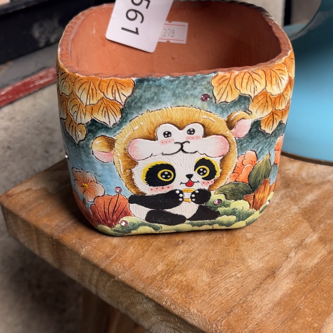 1***t561多肉花盆    1个