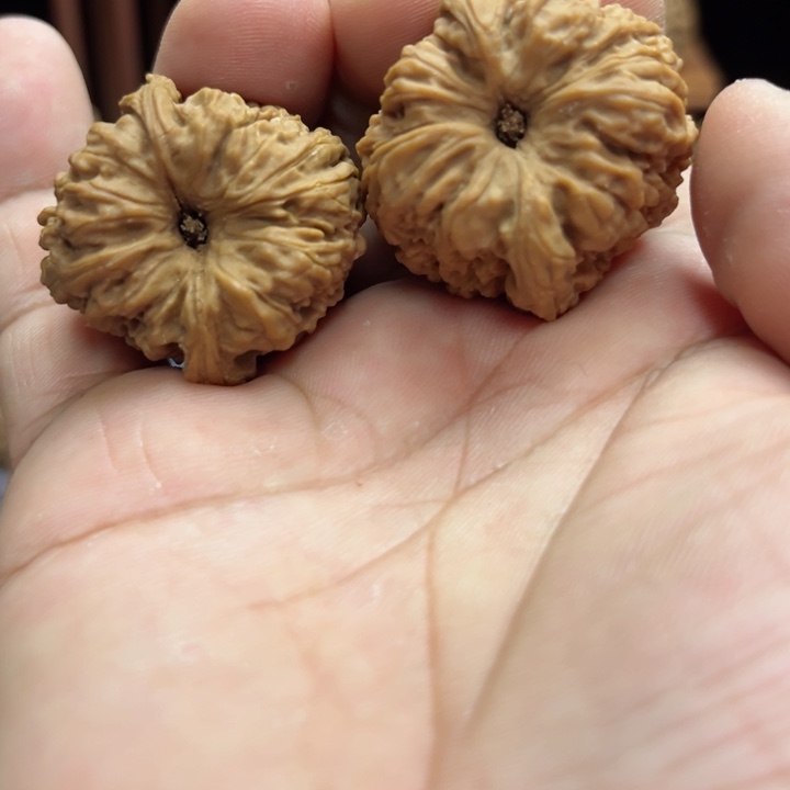 完全开放海****8南疆石