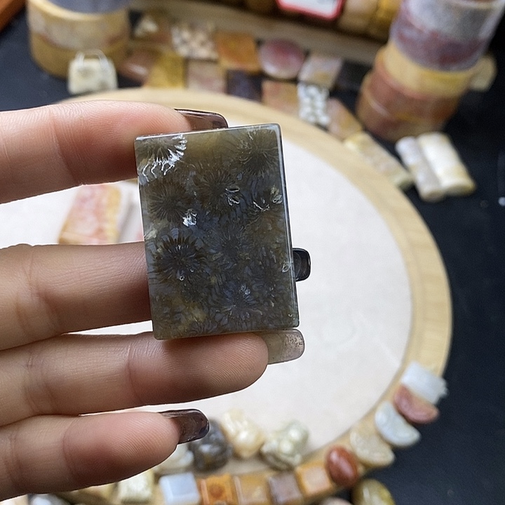 硅化玉未镶嵌颈饰4