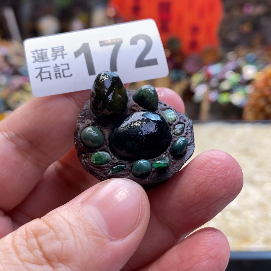 核桃木/黑胡桃（胡桃木）172小龟