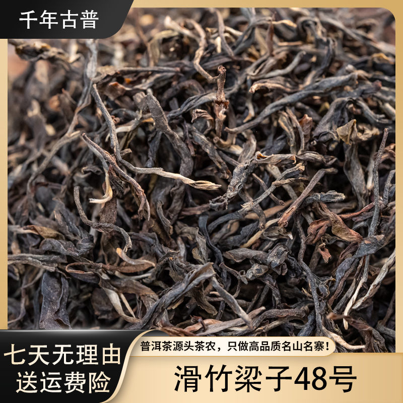 【千年古普】2025年头春滑竹梁子48号竹香果香蜜甜果甜散茶（生茶）