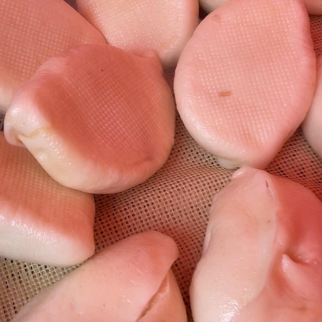 中国大陆农家自己做的牛肉包子12个