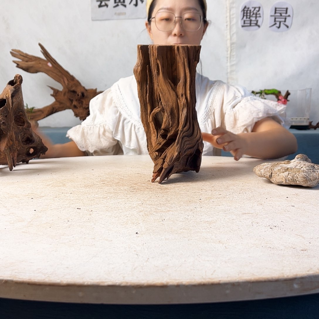 再****饭沉木造景寄居蟹景