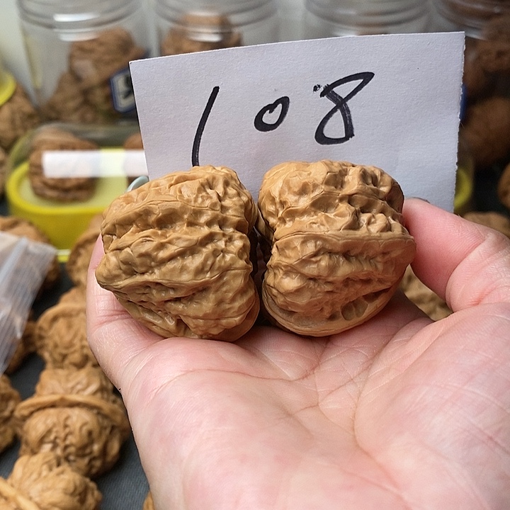 核桃蛤蟆41角蛙一只小鸟