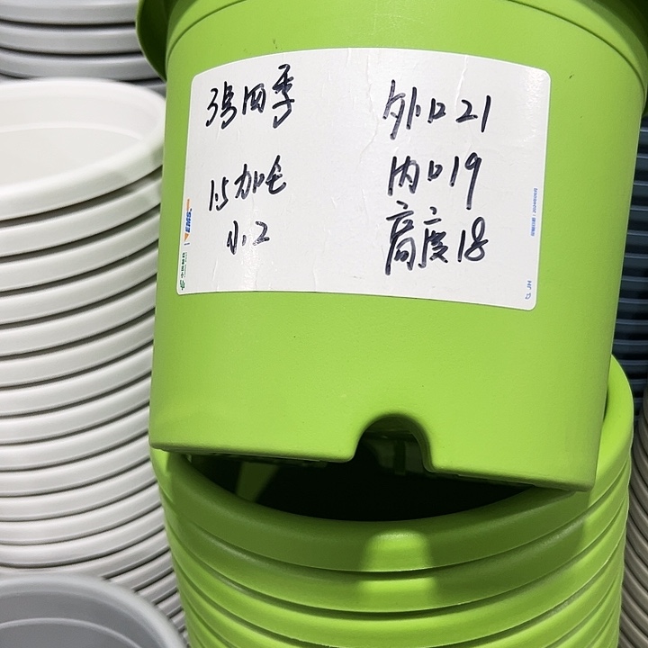 特价3号口21高18果绿色6只无托