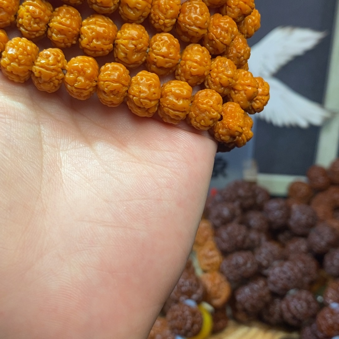 吊坠金刚菩提10无尘树王 