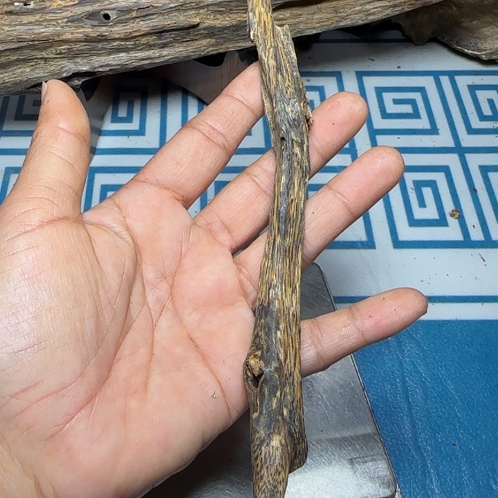 线香母树虎斑紫奇树心油12克