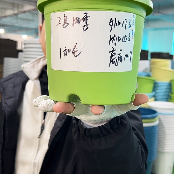 特价2号四季口17高14果绿色10个无托