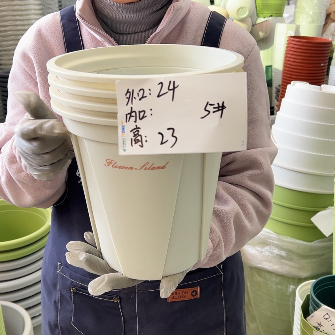 青山盆5#米白色10个无托