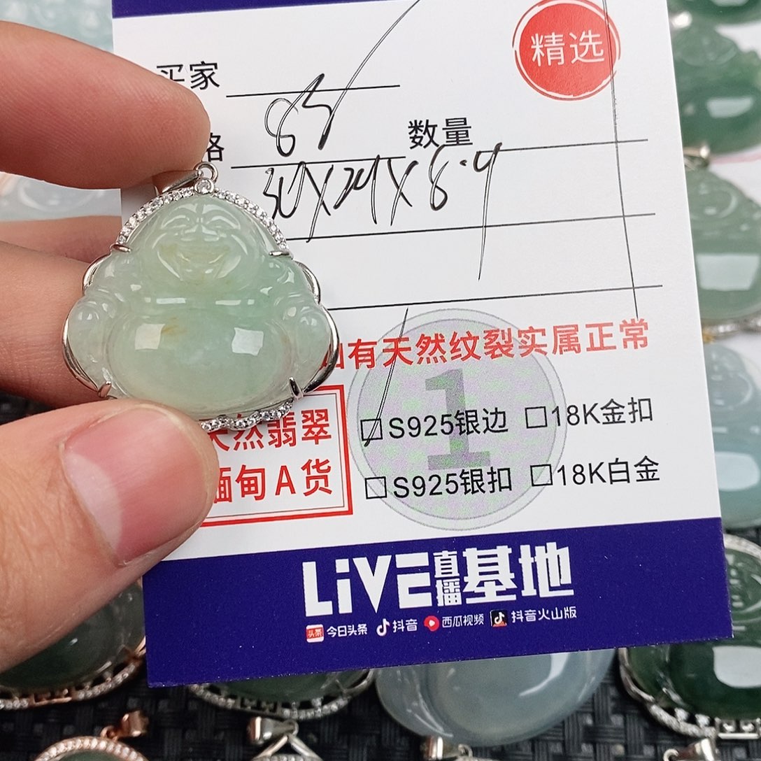 翡翠银S925镶嵌颈饰