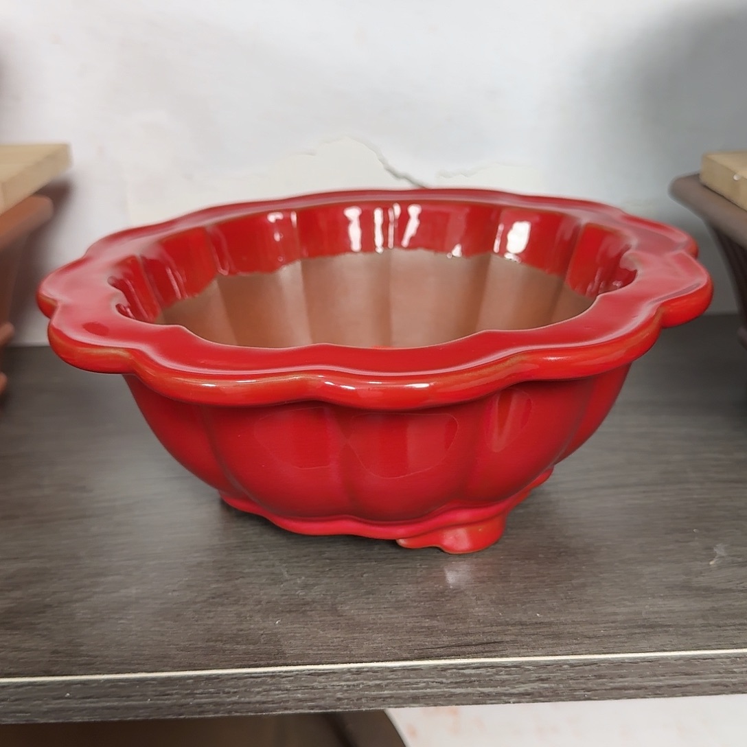 豆***子紫砂花盆哈哈哈哈哈