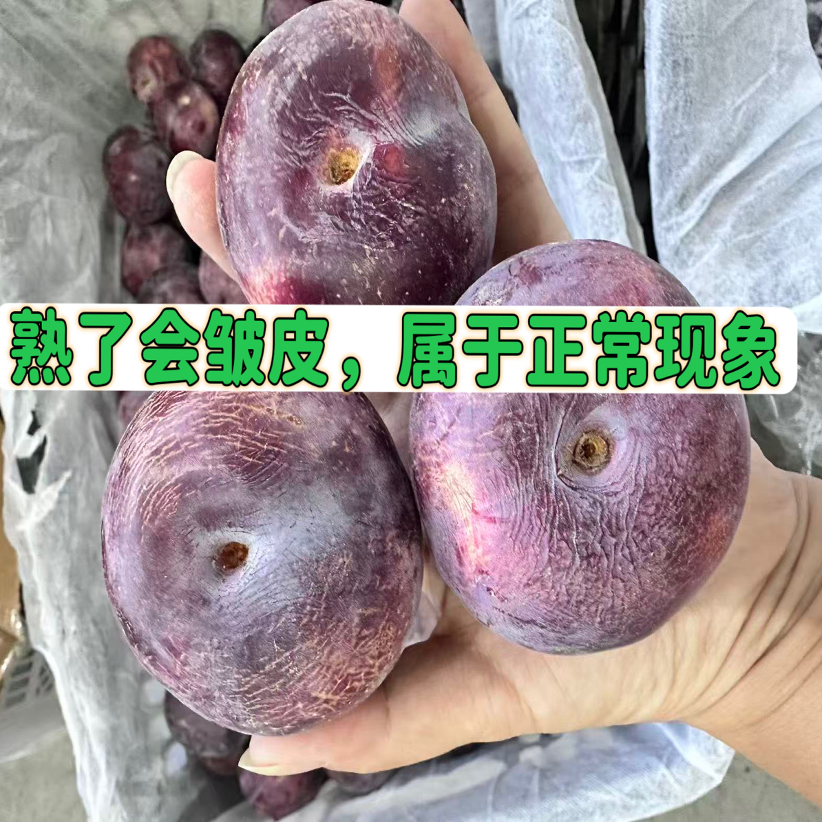 《一定要去皮吃》新疆树熟味王3斤《果子熟了皱皮属于正常现象》