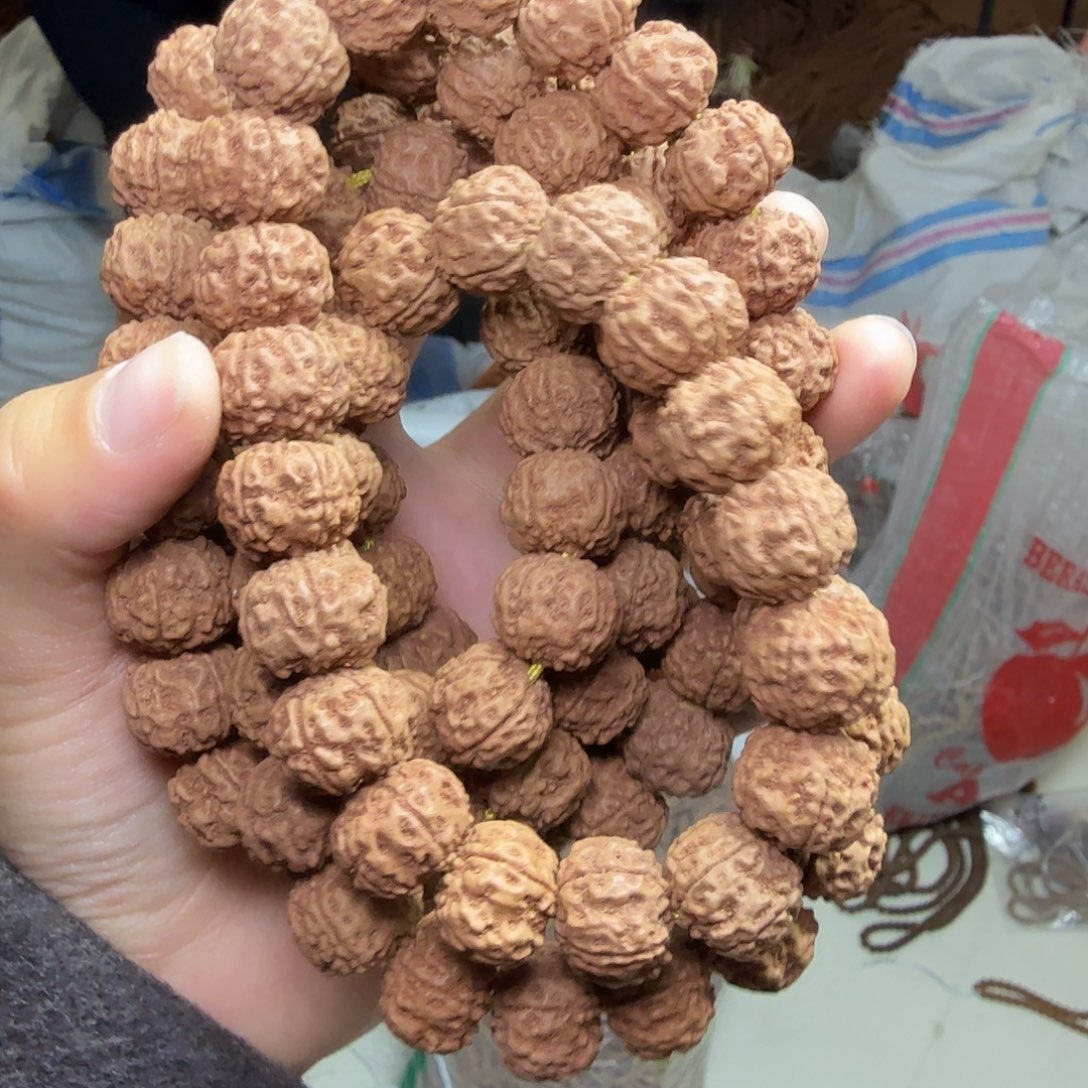 熬***赛金刚菩提吊坠帝王花1条