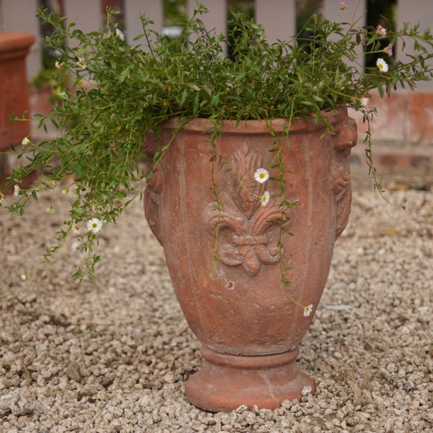 复古红陶盆三角梅花盆手工做旧粗陶花盆高脚克罗心酒杯盆