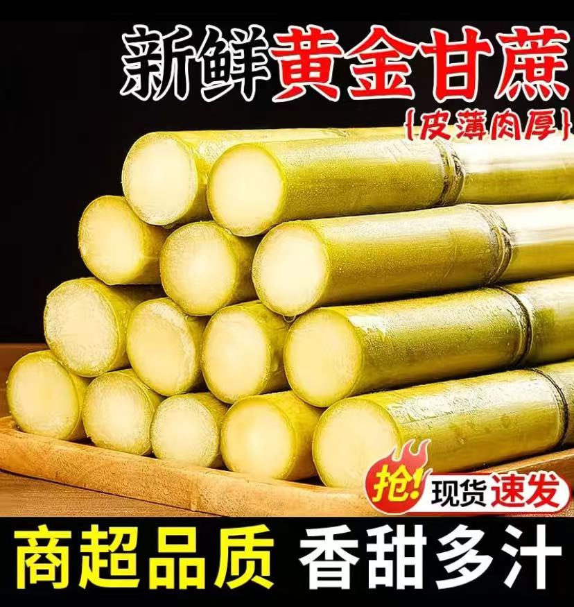 Y云南黄金甘蔗清甜爽口多汁产地直发水果甘蔗