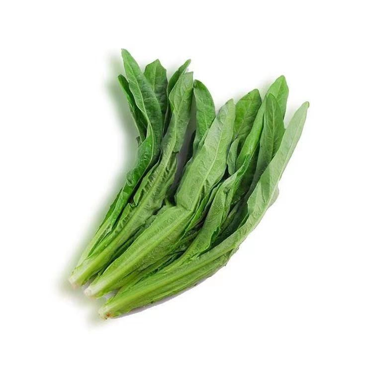 油麦菜（500g）