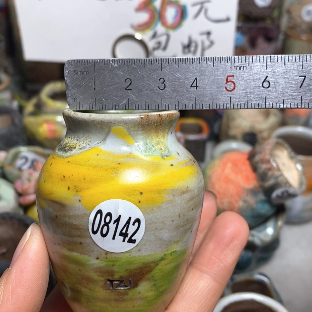 花盆拍5送一个小礼物