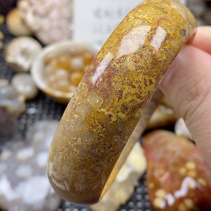 硅化珊瑚（珊瑚玉）颈饰未镶嵌