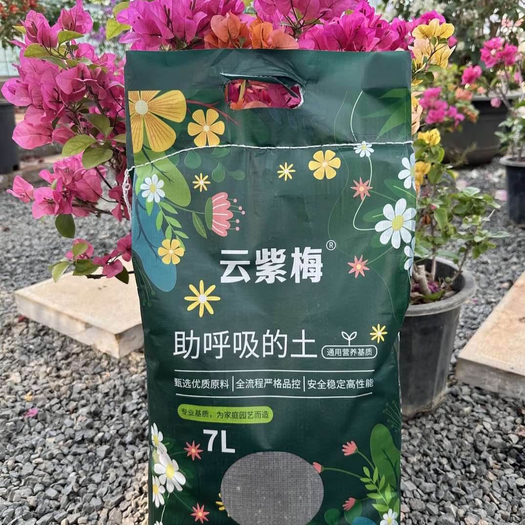 三角梅专用腐殖营养土疏松透气助力植物生长