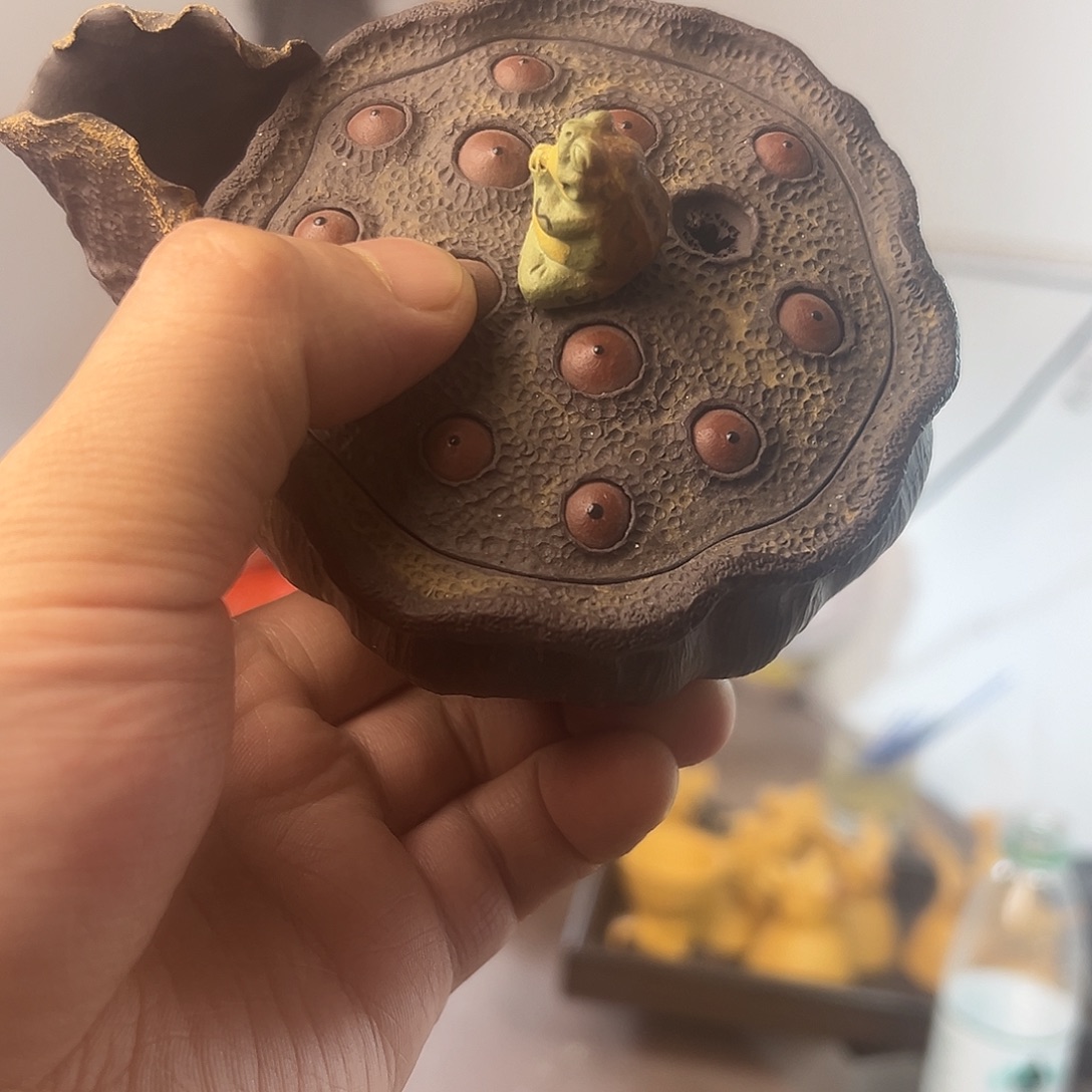 茶壶紫砂莲子手抓哈哈哈哈哈哈哈哈哈哈