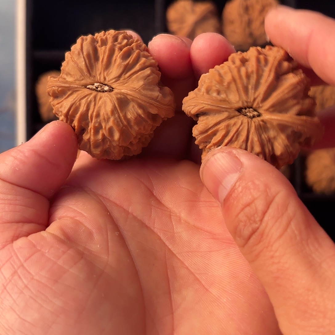 O***o核桃手串/手链55555