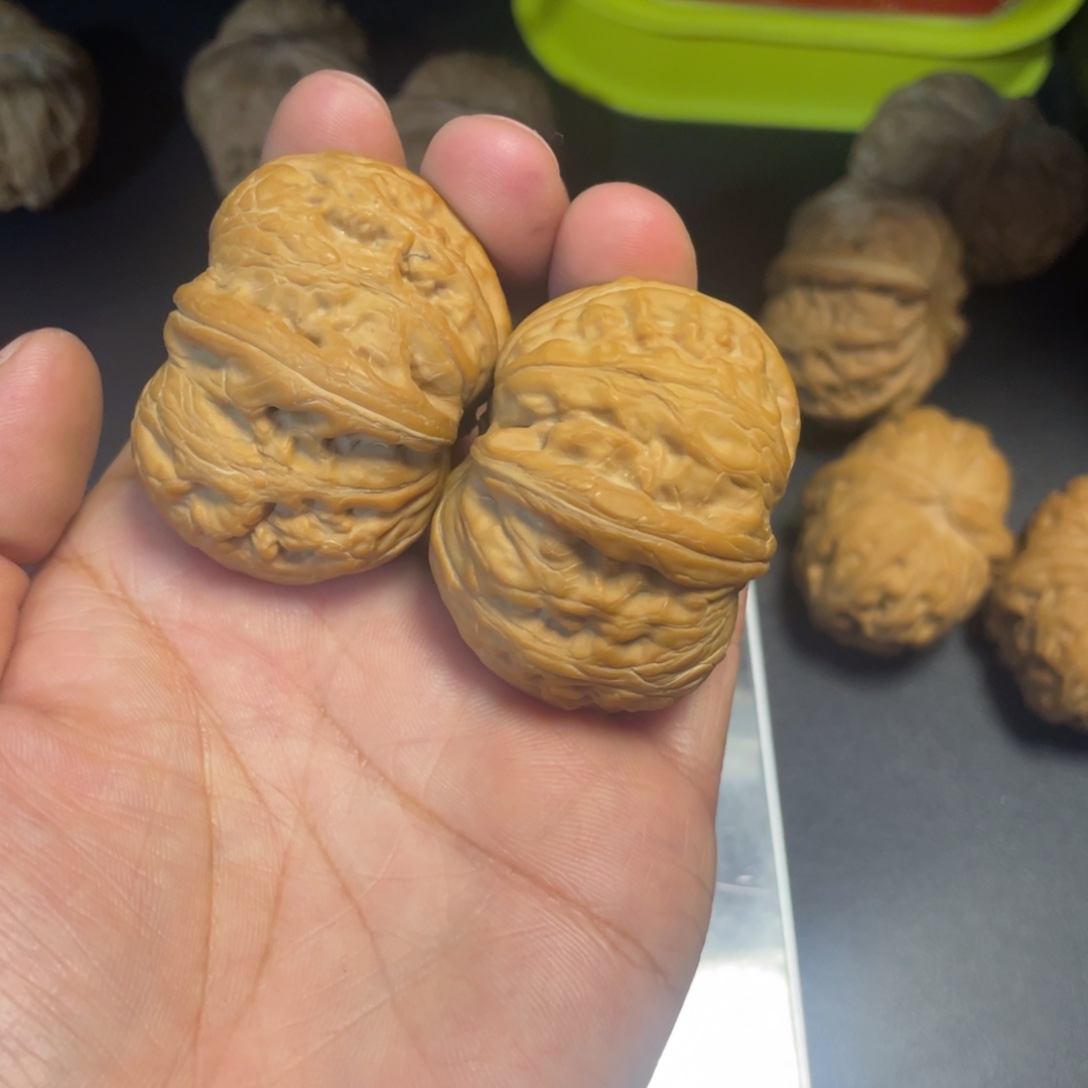 热***友大叶紫檀（黑酸枝木类）