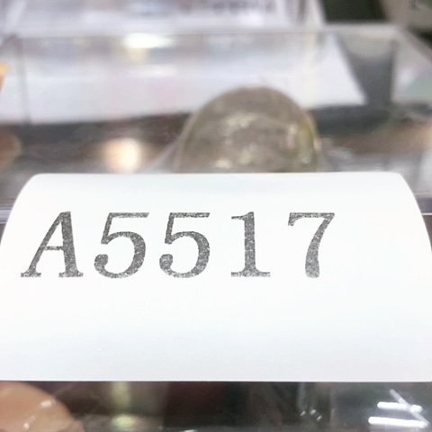 摆件果**办摆件1111111111111