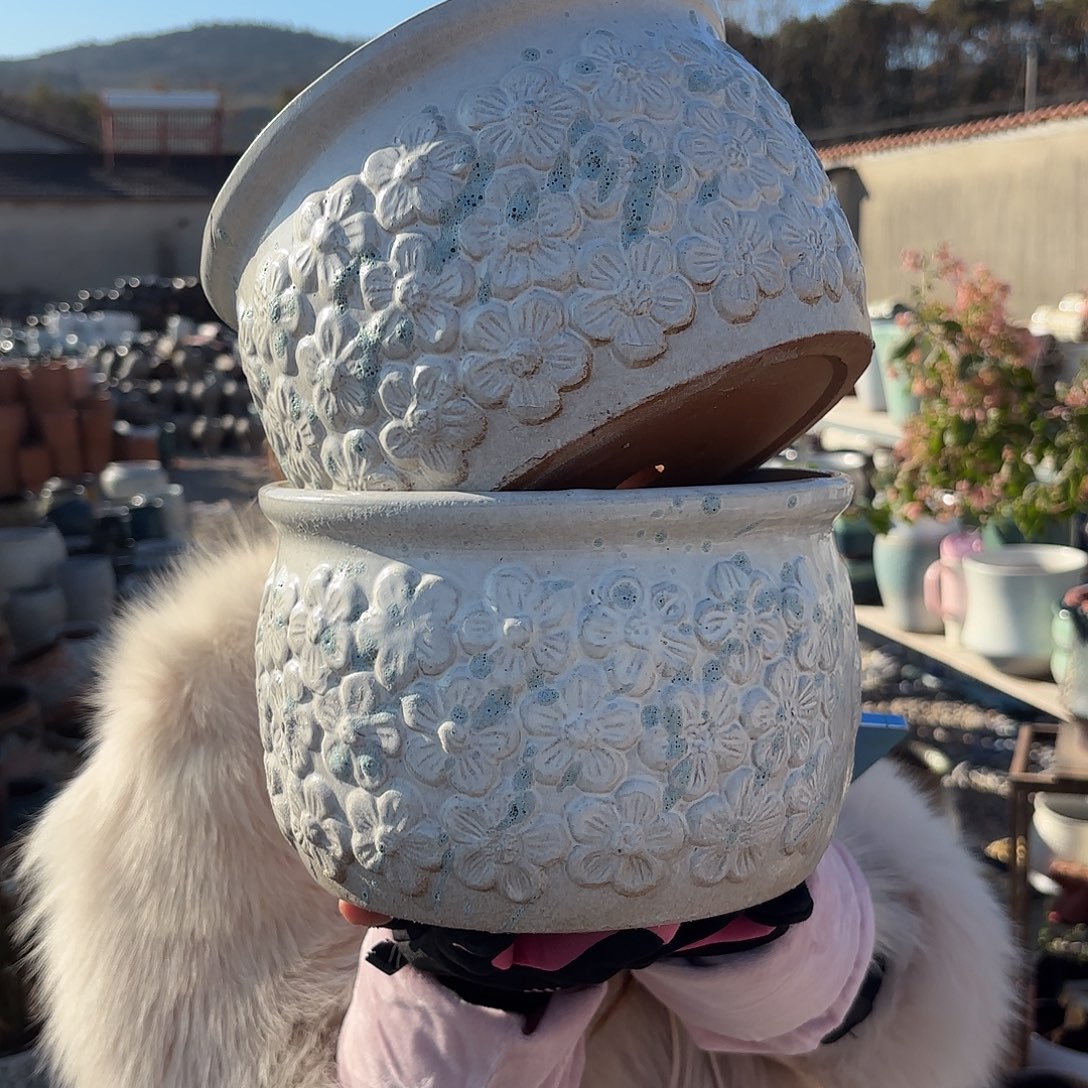 口径20高度14两个花花拼盘