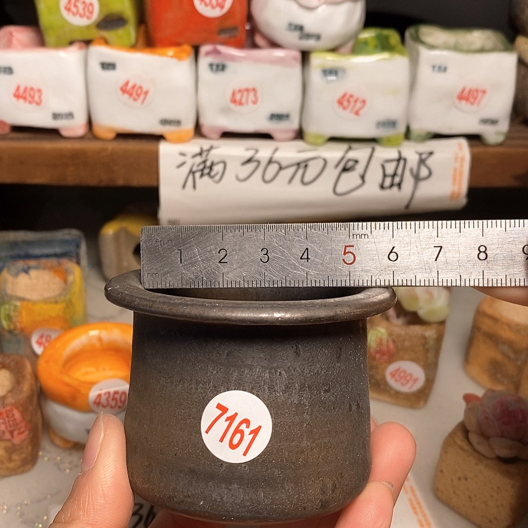 红陶拍5送一个小