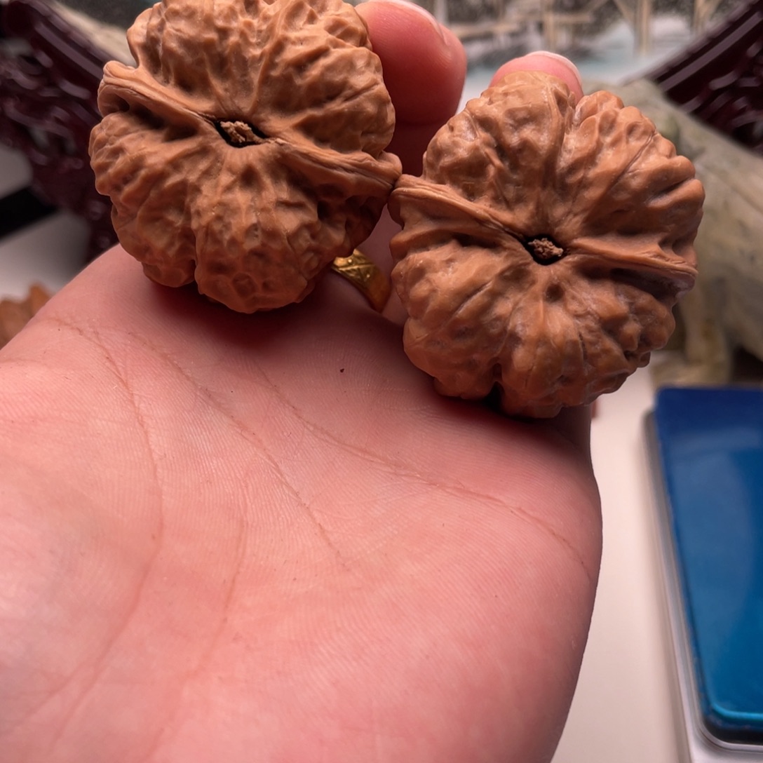 唯****核桃蛤蟆头文玩C32
