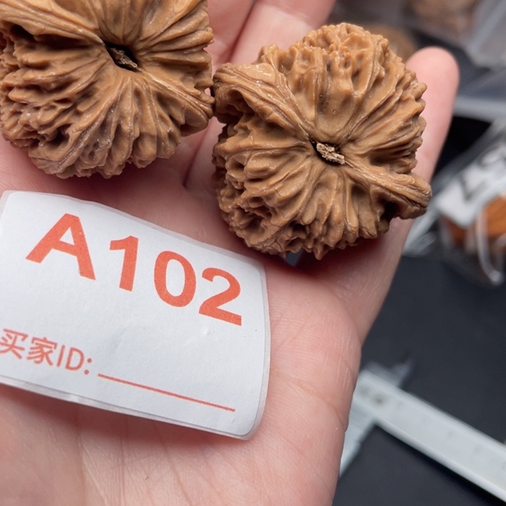 文玩核桃吊坠核桃