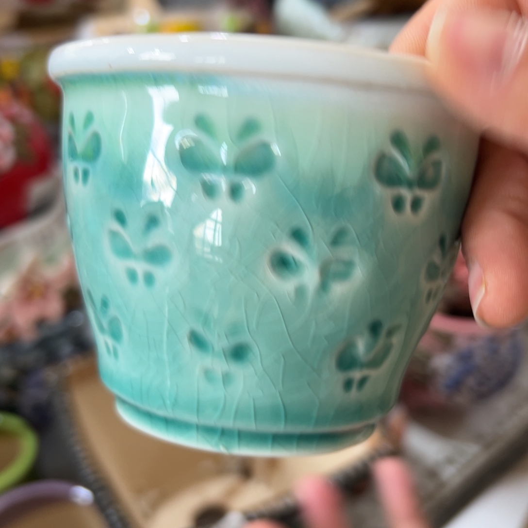 花盆，满20米发货，爱退款拉黑