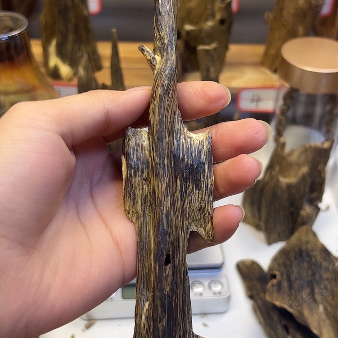 沉香碎屑沉香蓝宝石 桌摆 果香凉甜型